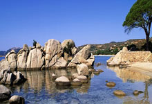 熊猫体育官方网站-布伦森压制级发挥如利刃出鞘，国王队强势打穿上海队展现篮球鸿沟