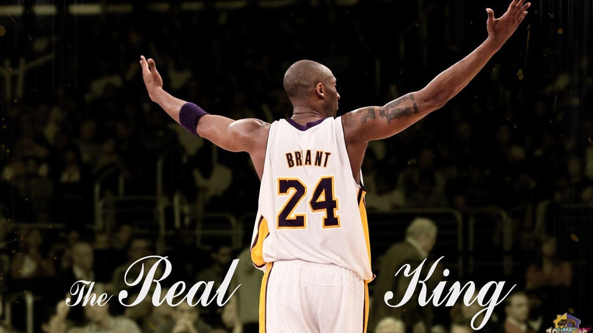 从温网失意到ATP总决赛逆转，梅德韦杰夫如何扛起全队走向荣耀